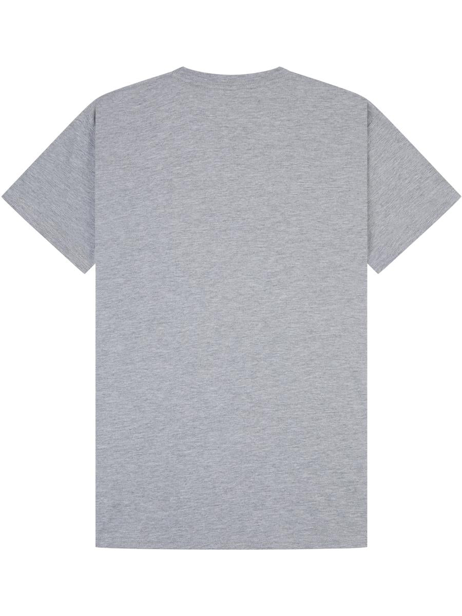 Ringspun Organic Classic T-Shirt — Heather